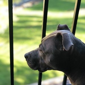 Meet your Posher, Brenton